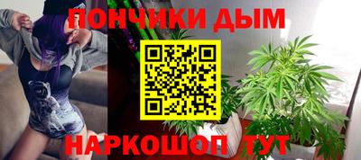 ECSTASY Новозыбков