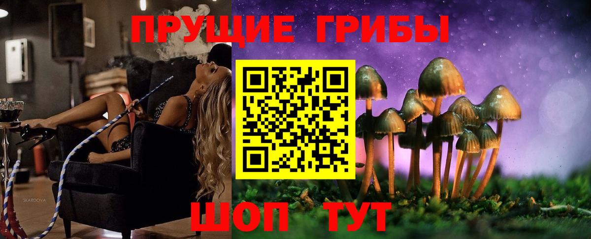 Галлюциногенные грибы Cubensis  Вход с VPN  Семёнов  Псилоцибиновые грибы ЛСД 